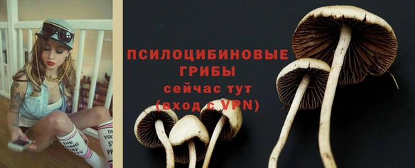 мяу мяу кристалл Арсеньев