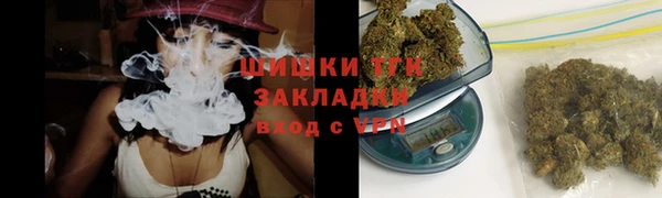 амф Россошь