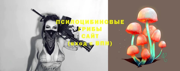 твердый Аркадак
