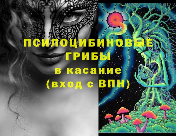 твердый Аркадак
