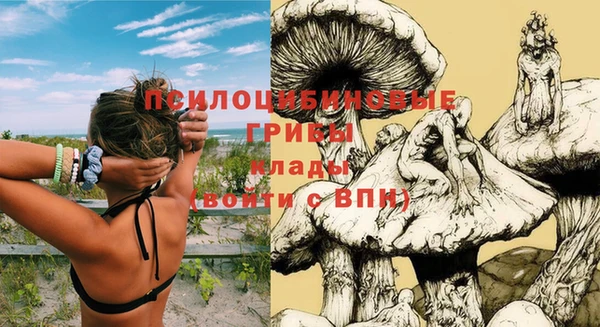 кокс Ростов