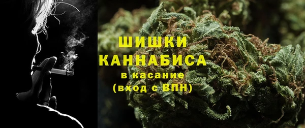 амф Россошь